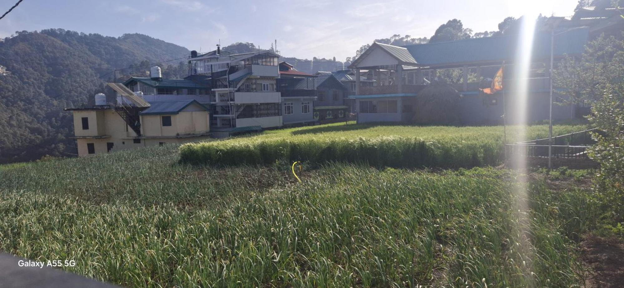 Keshav Niwas Homestay Shimla Zewnętrze zdjęcie